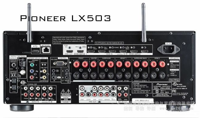 hLX503