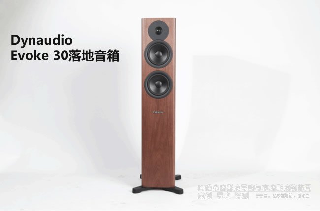  Dynaudio Evoke 30uy