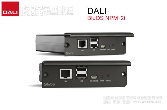 DALI  BluOS NPM-2i