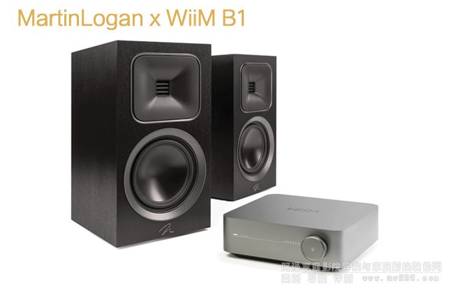 RJMotion Foundation B1 x Wiim Ŵb